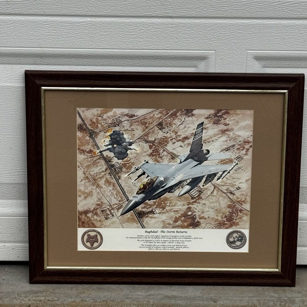 F-16 Baghdad The Storm Returns Print 157th Fighter Sq Framed Signed